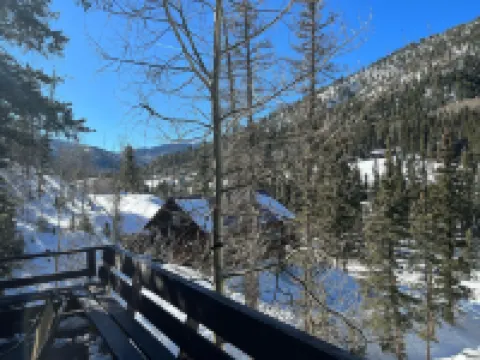Cozy Cabin