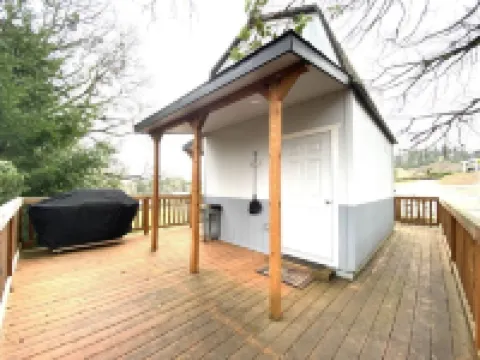 The Tree House of Paradise