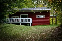 Knotty Pine