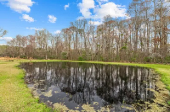 Renovated Rustic Charm!