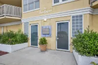 The SandPiper  - Ocean Front Condo