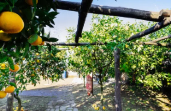 Elena apartment with panoramic views of the Gulf of Naples. AC and parking inc.