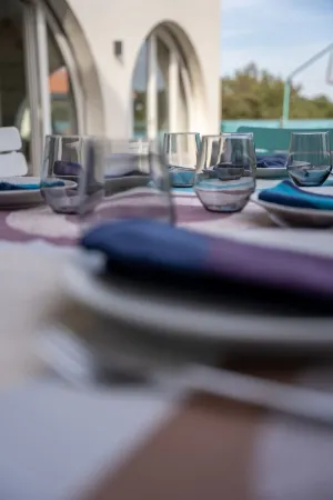 Upscale villa on the dune, a stone's throw from the beach