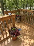 Mountain Cabin, Firepit + Fireplace, Free pool, gym, ski, water sports + more