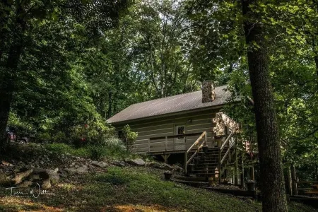 Tlea Farm Mountain Log Cab. 73 Acres of Trails and Horse Paddocks 2 Steams+Lake