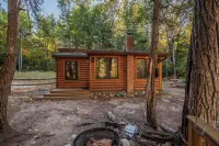 Cozy riverfront cabin on Ossipee River