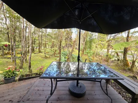 Cozy Volcano Cottage