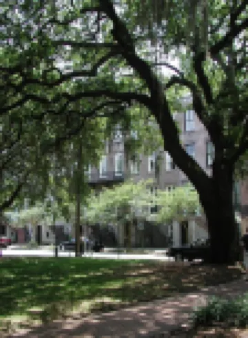 Elegant & Sunny 1 Bedroom Chatham Sq Apt Historic District