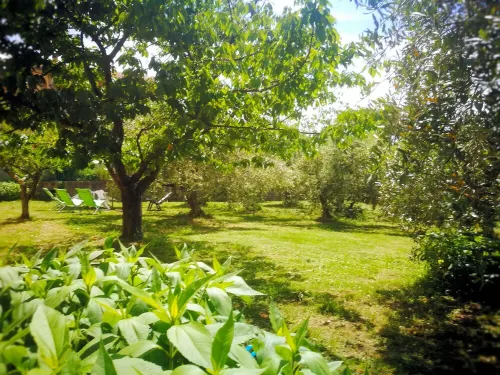 HOUSE WITH GARDEN ON THE TUSCAN HILLS about 20 minutes from the sea WI-FI FREE