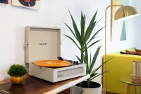 Spin Some Vinyl at a Lush Green Retreat with Two Bedrooms