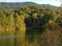 Pet friendly cottage on 17 acre Lake front property with dock and kayak access