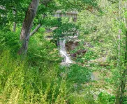 Cozy Waterfall Home | Close to All Mountains/Hikes