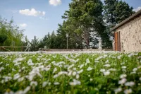 Holiday house with pool