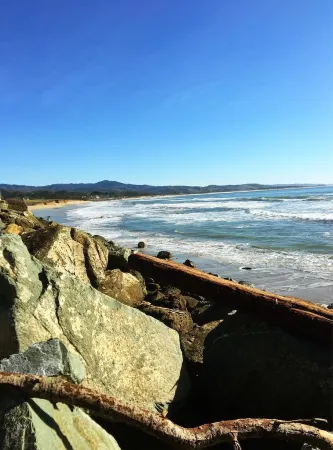 Stylish Seaside Guest House, Walking to Beach Отели рядом с достопримечательностью «Pillar Point Harbor»