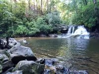 Cozy Lake Burton cottage -- enjoy boating, mountains, hiking, wineries and more!