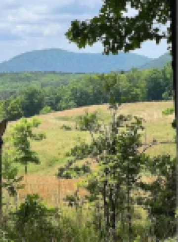 Cozy 3-bedroom Cabin in the Woods - No Cleaning Fee