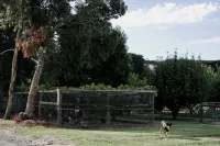 Berrys Creek Farm Stay