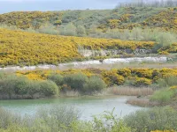 Wissant : Maison de Charme - Fisherman's House. Hotels in Wissant