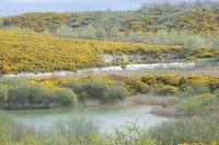 Wissant houses: House - House Of Fisherman. Hotels in Wissant