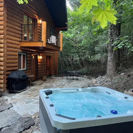Cozy log cabin secluded in a mountain forest with hot tub, sauna, private patio.