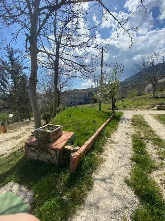 COUNTRY HOUSE THE OLIVE TREES Отели в г. Чивителла-дель-Тронто