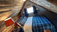 Tiny Cabin in Huron National Forest!