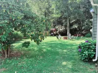 Creekside Cottage Next to Knoebels Amusement Resort. Large Yard, Fire Pit, Patio