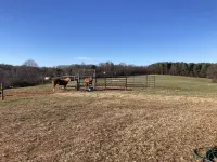 The Red Pony Inn. Farm friendly barn with a cozy apartment and beautiful scenery Hotels in Alexander County