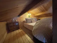 阿拉斯加州威洛和塔爾基特納溫馨寵物友好配有獨立桑拿房小屋