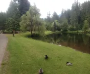 2-Story Chalet, clean, 3Br / 2Ba in Snowline, best rates, WiFi and Hot Tub