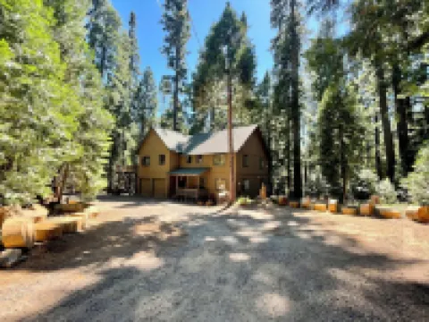 “Big Trees Retreat,” Boasts 5BR/2.5BA, Sleeps-16. 2-level living. Dog friendly!