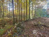 Basil Brook: Colonial-Chic House - near Jay Peak!