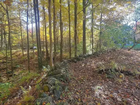 Basil Brook: Colonial-Chic House - near Jay Peak! Отели в г. Монтгомери