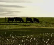 Couples Getaway in Small Town Waxahachie, Texas on10 Acres of Fields and Forest.