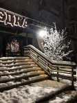 Hotel Shvedka