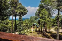 Spacious Mountain Cabin with Views, Deck, Second Living Area, New Hot Tub