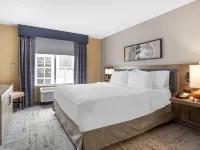 Hilton Garden Inn Charlotte/Concord Hotels in Concord