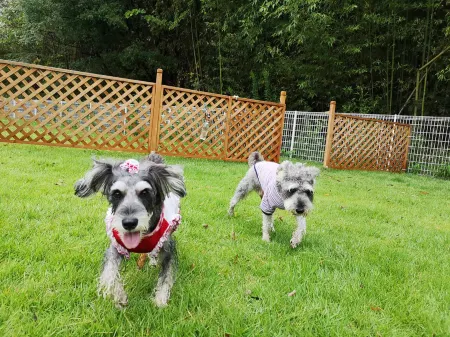 Wans Village Отели рядом с достопримечательностью «Awaji World Park Onokoro»