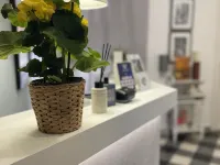 B&B Essenze Hotels near Palermo Catacombs