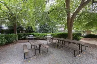 Upscale Apartments in Crystal City