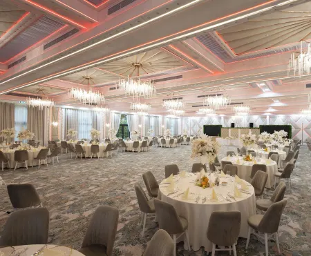 Chitulescu Hotel Отели в г. Шербеняса