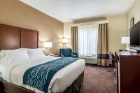 Comfort Inn & Suites - Hannibal Hotels in Hannibal
