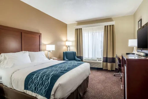 Comfort Inn & Suites - Hannibal Hotels in Mason Township