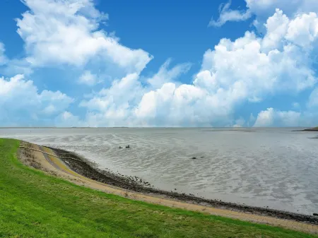 House Near Scherpenisse Beach with Garden
