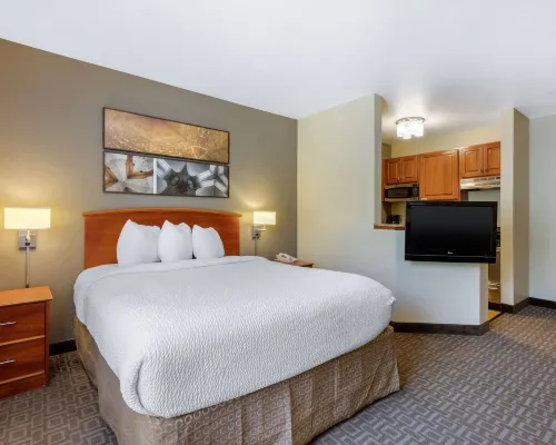 Suburban Studios Birmingham Homewood I-65 Hotels in Homewood