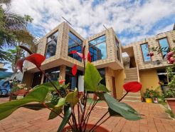 La Casa de Mi Sub