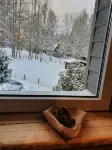 Hotel Pension Schau ins Land Braunlage - Bergblick