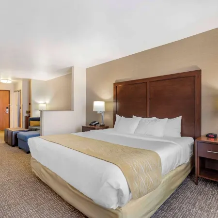 Comfort Inn & Suites Mitchell I-90 Hotels in Mitchell