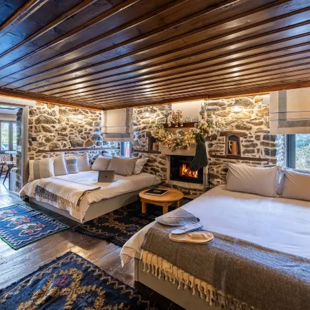 Dandy Villas Metsovo