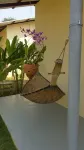 Longan Tree